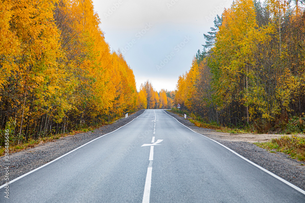 Asphalt road in the autumn forest. Travels. Asphalt road in the autumn forest. Travels.