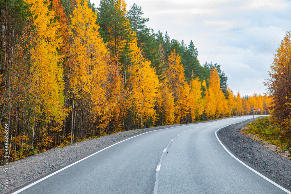 Asphalt road in the autumn forest. Travels. Asphalt road in the autumn forest. Travels.