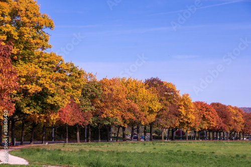 Bright foliage colors in Autumn, Riehen Switzerland