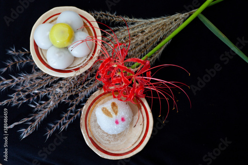 Rabbit mochi and pampas grass photo