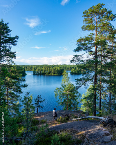 Summer lake scene at hiking trail in Teijo national park, Salo, Finland. Trees and the Matildajarvi lake. photo