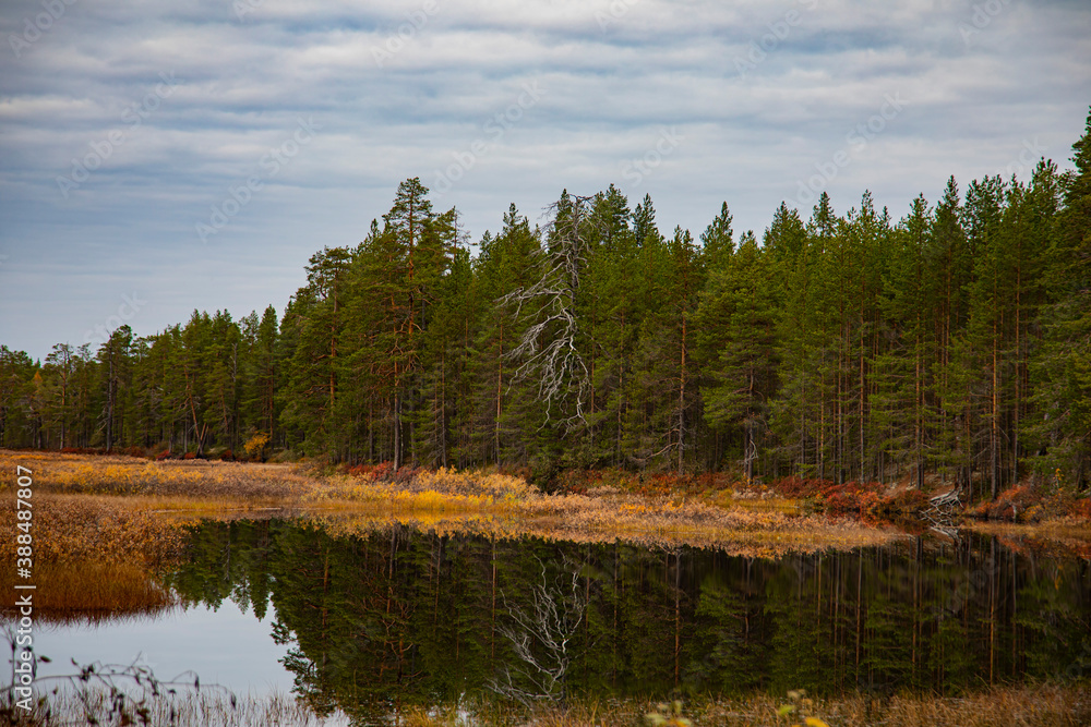 Colorful view of the autumn forest and a small lake.