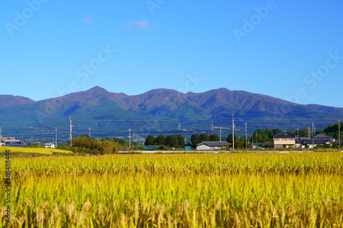 赤城山と稲穂とローカル線