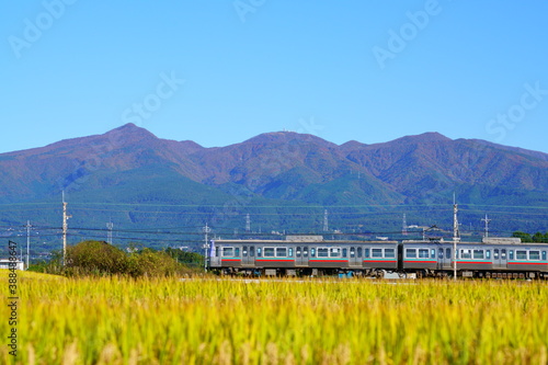 赤城山と稲穂とローカル線