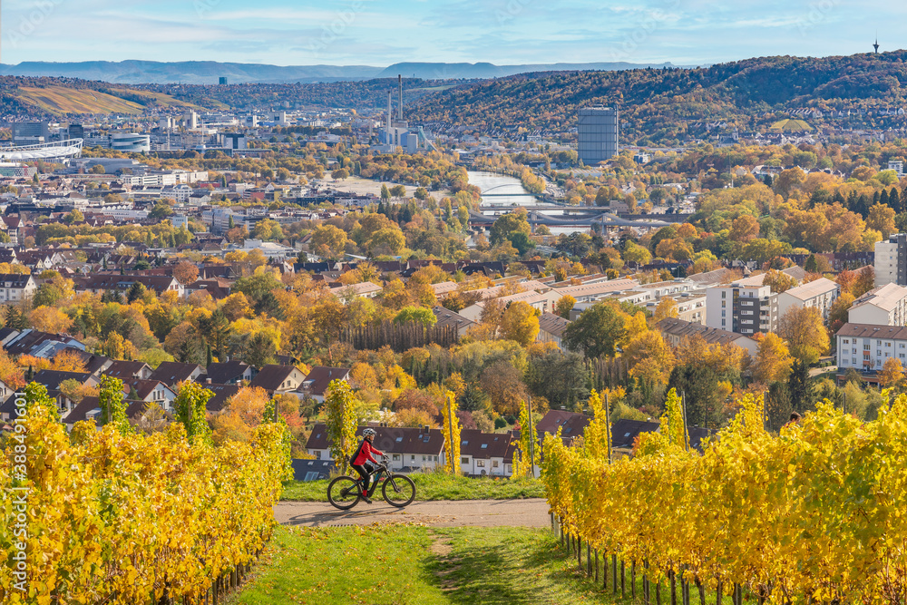 nice senior woman riding her electric mountain bike in autumnal colored vineyards above the German city of Stuttgart, Baden-Wuerttemberg, Germany