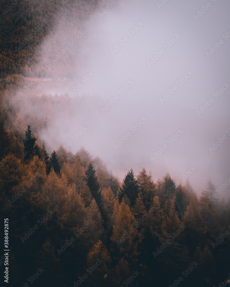 view on foggy alps mountains in autumn