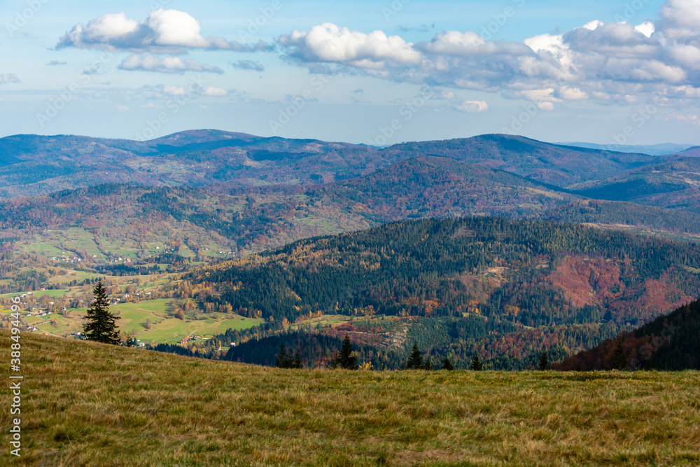 Autumn landscape of mountain hills covered with colorful forests. Zywiec Beskids.