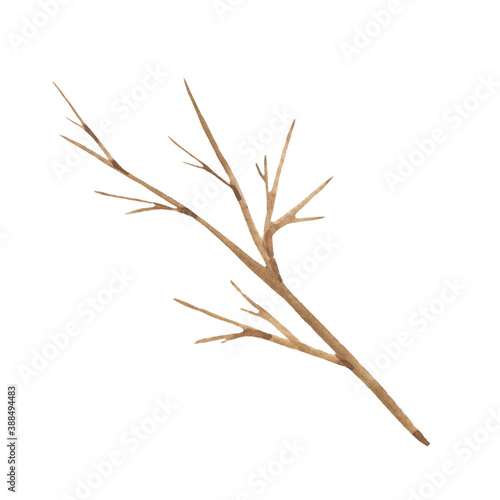 Drawing of a watercolor twig without leaves. Winter element, part of a plant, nature, christmas. For design.