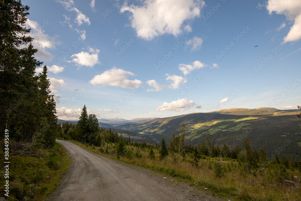 Fototapeta premium road in the mountains