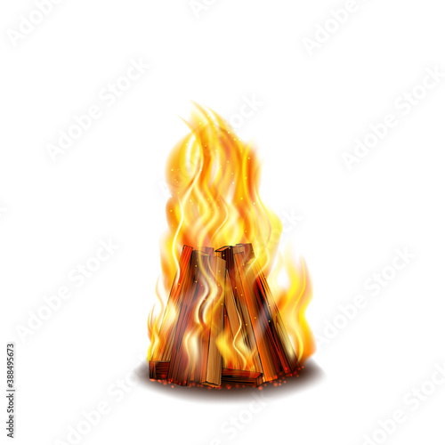 Bonfire on white background, campfire with firewood, burning flame.