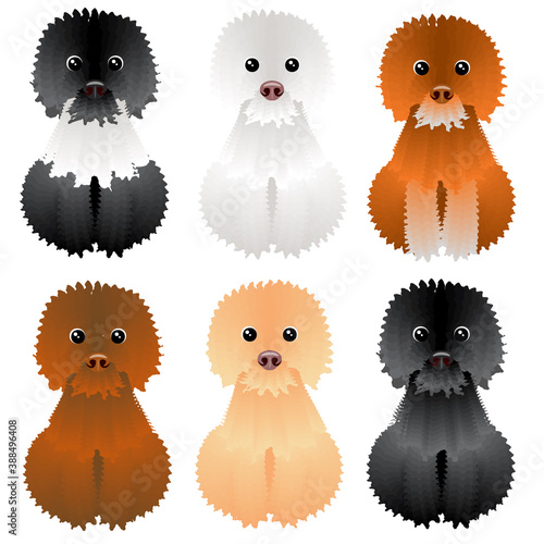 set of funny shaggy dogs