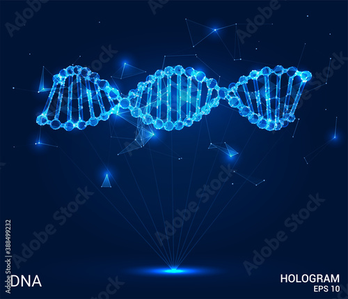 A hologram of DNA. DNA from polygons, triangles, points, and lines. The DNA chain is a low-poly compound structure. The technology concept.