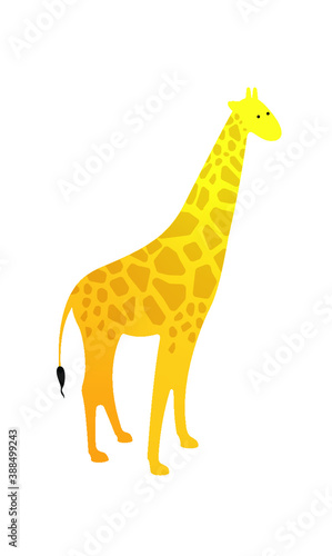 Giraffe Vector Graphic