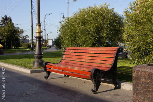 Close-up of a park bench on the autumn promenade