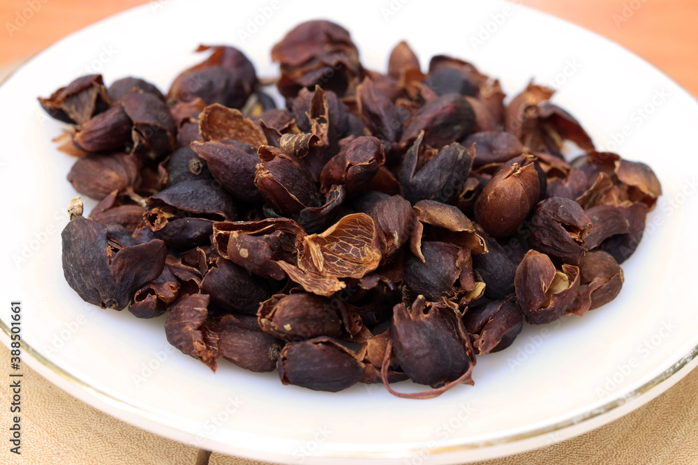Cascara or dried coffee cherry pulp and outer skin in white plate for background or texture. Cascara can make the tea beverage. Cascara or dried coffee cherry pulp and outer skin in white plate for background or texture. Cascara can make the tea beverage.