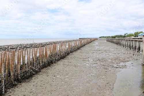 Bamboo row barrier for mussels live on sea shore  when water recede closeup with the blue sky and cloud.