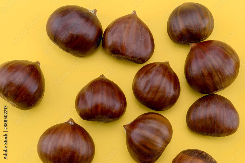 Obraz premium chestnuts on yellow background in top view