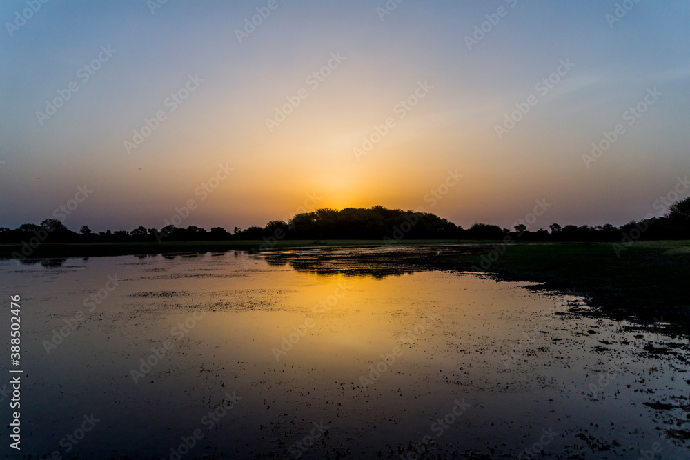 Thol Lake, Ahmedabad