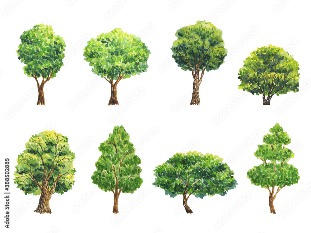 Fototapeta premium Watercolor illustration with trees