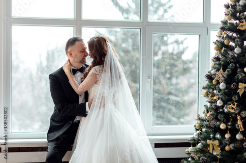 Young couple in love bride and groom posing in studio on background decorated with Christmas tree in their wedding day at Christmas near the large panoramic window.