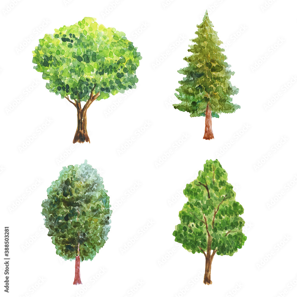 Watercolor illustration with trees Watercolor illustration with trees