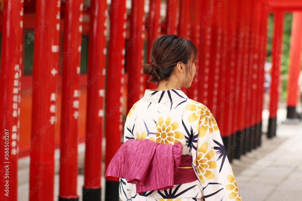 Unidentified japanese girl in beautiful kimono visiting shinto shrine with many red torii gates (Sanko Inari Shrine in Inuyama)
