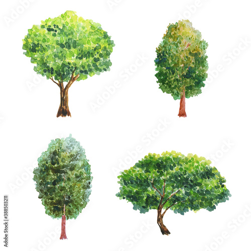 Watercolor illustration with trees