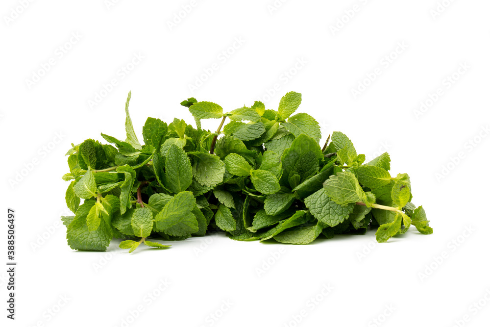 Fresh mint leaves isolated on white background. Fresh mint leaves isolated on white background.