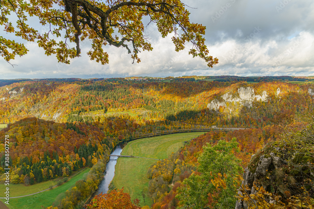 Obraz premium Herbstbild