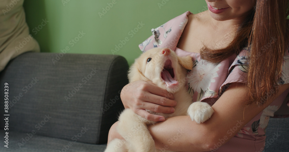 Woman play with puppy dog at home Woman play with puppy dog at home
