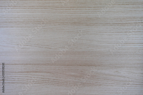 Maple background and texture. Close-up view of a wooden longitudinal cut