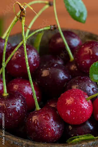 Ripe cherries with green twigs in drops of water