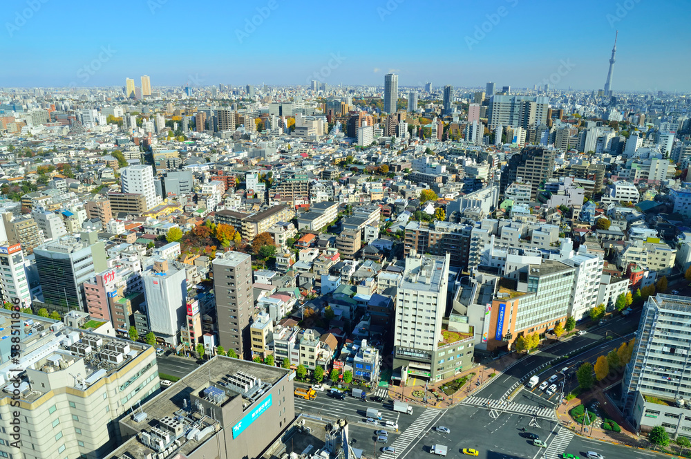 Fototapeta premium 東京スカイツリーの見える東京の景観