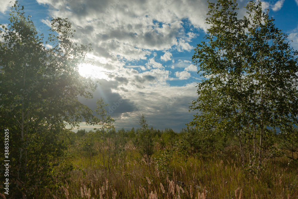 small birch trees in the foreground on the left and right against the blue sky with clouds, through the clouds the sun shines