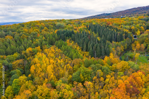 Bird's eye view of a beautifully colored autumn forest near Kiedrich / Germany in the Rheingau