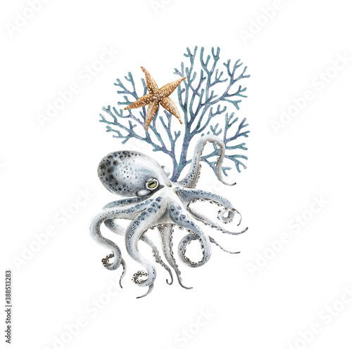 Photography watercolor illustration of blue octopus with coral and starfish on white backgro