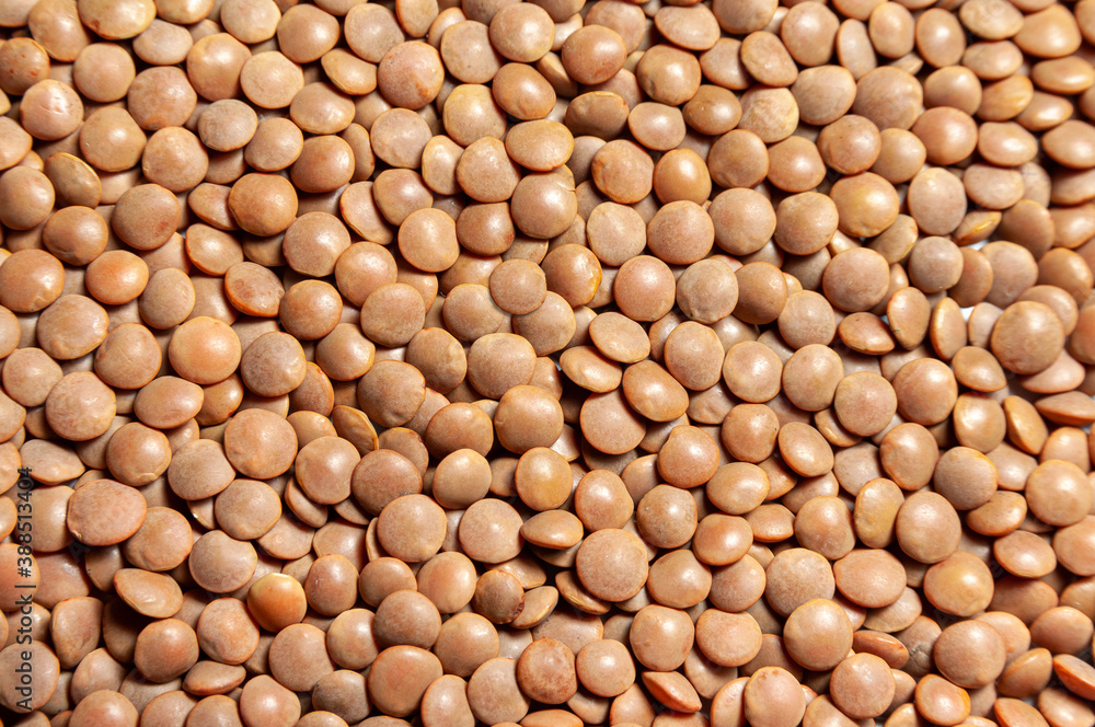 texture of red lentils texture of red lentils