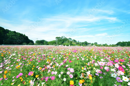 Wallpaper Mural Cosmos Torontodigital.ca