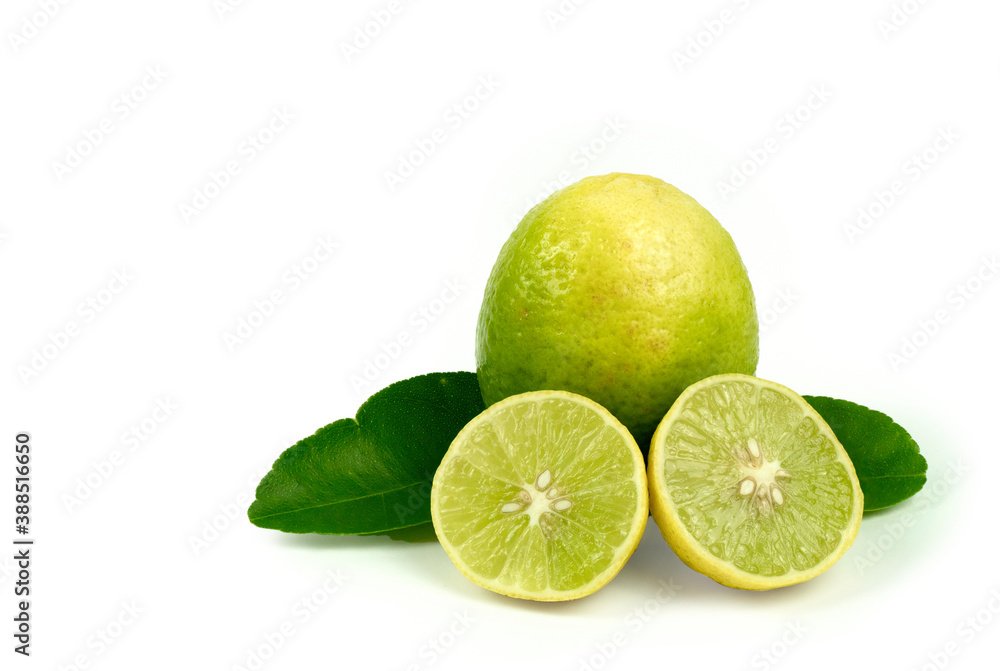 group of lime on white background group of lime on white background