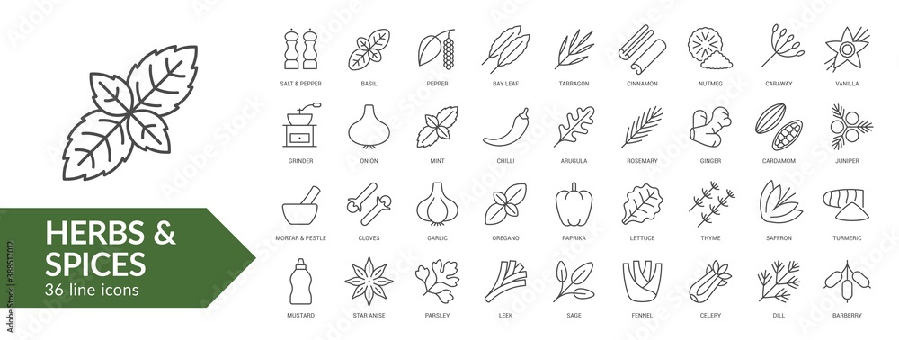 Herbs & spices line icon set. Isolated signs on white background. Vector illustration. Collection