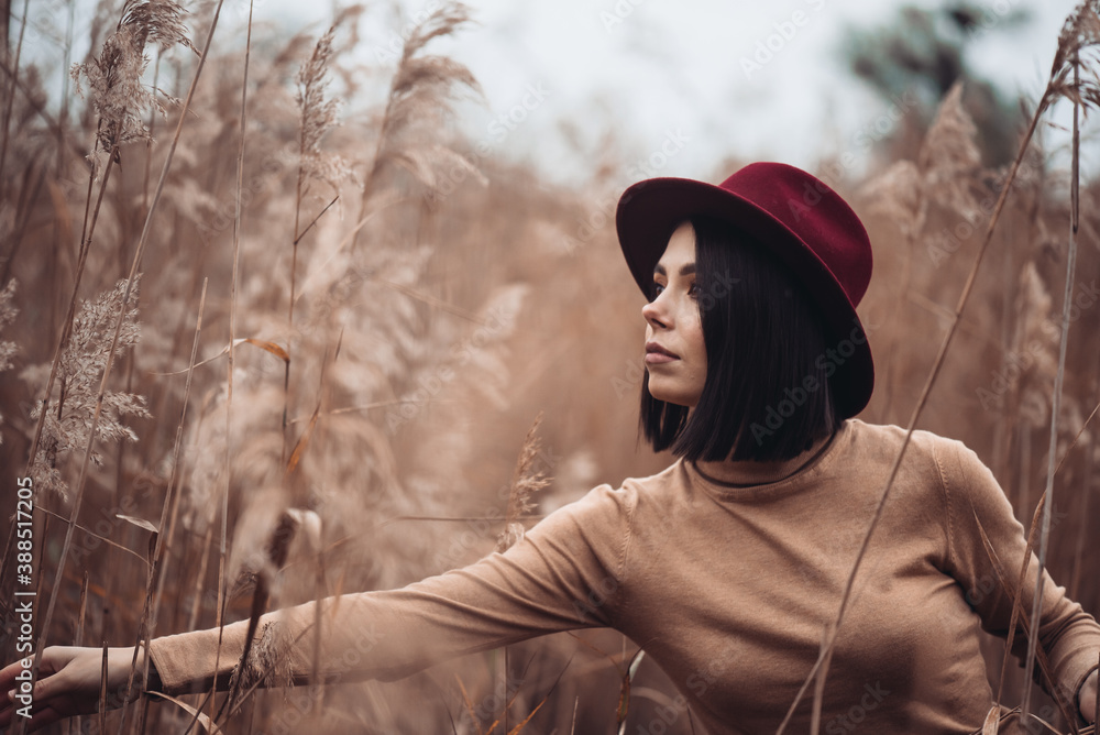 Outdoor fashion photo of young beautiful lady in autumn landscape with dry flowers. Autumn/Winter. Warm autumn/winter. Fashion autumn/winter. Beautiful autumn. Sunny autumn, Cozy autumn coat Outdoor fashion photo of young beautiful lady in autumn landscape with dry flowers. Autumn/Winter. Warm autumn/winter. Fashion autumn/winter. Beautiful autumn. Sunny autumn, Cozy autumn coat