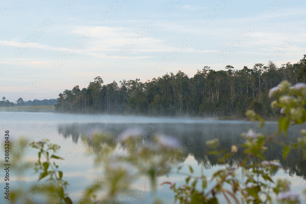 Selective focus.Beautiful nature and fog on the reservoir in Khao Yai National Park Thailand.	
