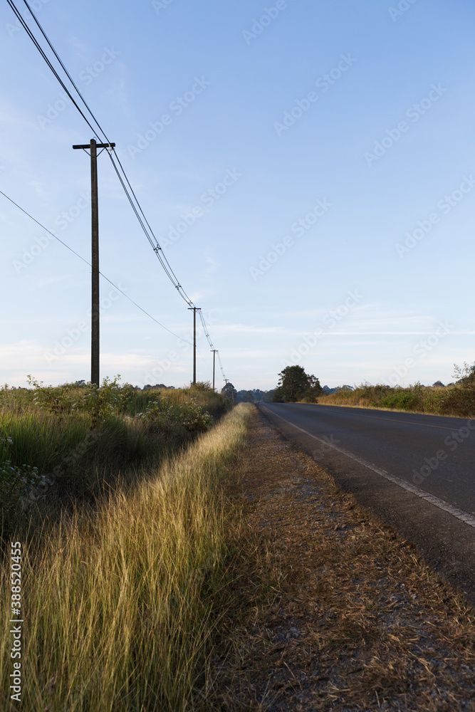 Selective focus.country road in at Khao Yai National Park Thailand