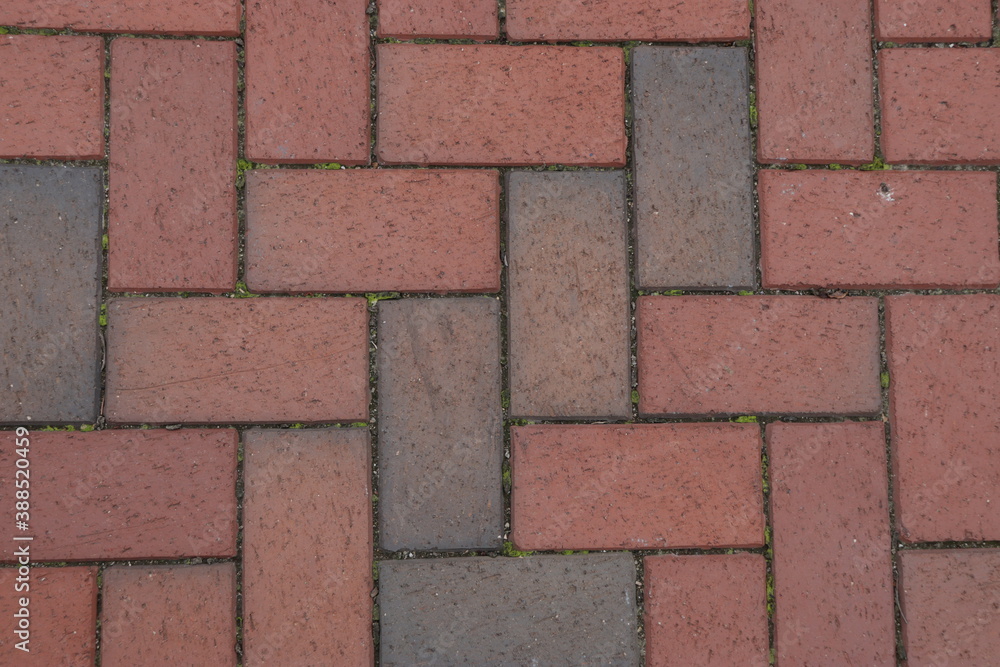 Fototapeta premium Tile pavement surface texture, close-up shot