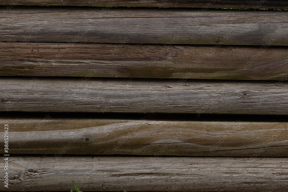 Obraz premium Wood surface texture, close shot