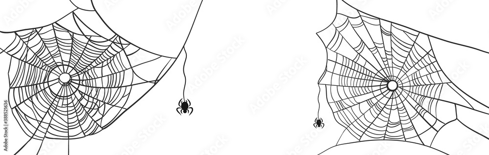 Fototapeta premium Spiderweb Halloween white banner with black poison spiders. Scary spider web vector illustration drawn by hand. Halloween decoration for design. Eps 10