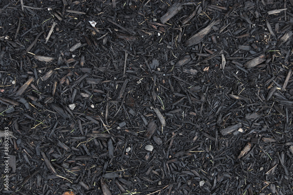 Earth surface texture, close shot Earth surface texture, close shot