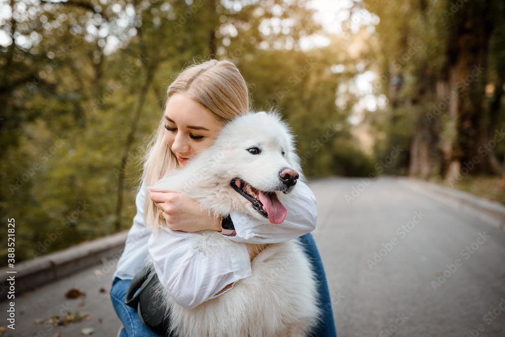 woman in white shirt is hugging her white dog samoyed outdoors in the park. woman in white shirt is hugging her white dog samoyed outdoors in the park.