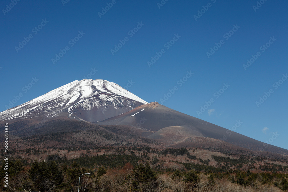 水ケ塚公園からの富士山