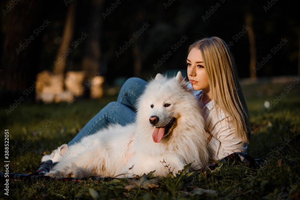 beautiful woman in white shirt is resting on the grass with her white dog samoyed outdoors in the park. beautiful woman in white shirt is resting on the grass with her white dog samoyed outdoors in the park.